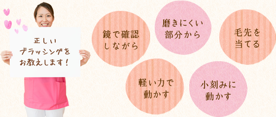 正しいブラッシング